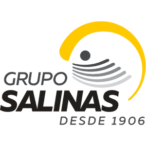 logo-grupo_salinas